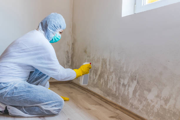 Bathroom Mold Removal assessment in Mears bathroom